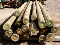 Photo: Poles